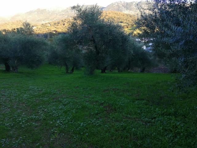 Chalet en venta en Serranía de Ronda, Andalucía