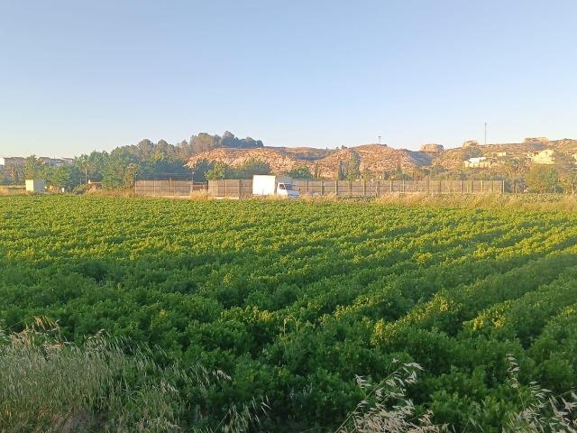 Terreno en venta en El Puntal, Vega Media del Segura