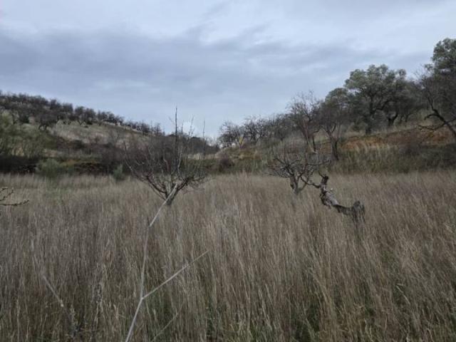 Terreno en venta en Comunidad de Calatayud, Aragón