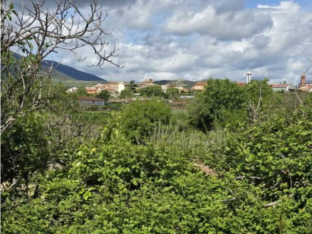 Terreno en venta en Aranda, Aragón