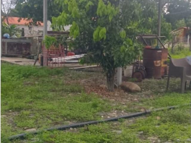 Galpón en venta en Maturin, Monagas