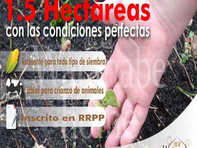 Terreno venta en Huaura, Lima Metropolitana