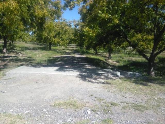 SE VENDE TERRENO CON NOGALES EN PARRAS DE LA FUENTE, COAHUILA