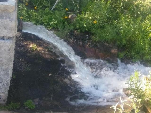 SE VENDE TERRENO CON NOGALES EN PARRAS DE LA FUENTE, COAHUILA