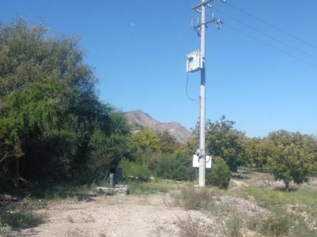 SE VENDE TERRENO CON NOGALES EN PARRAS DE LA FUENTE, COAHUILA