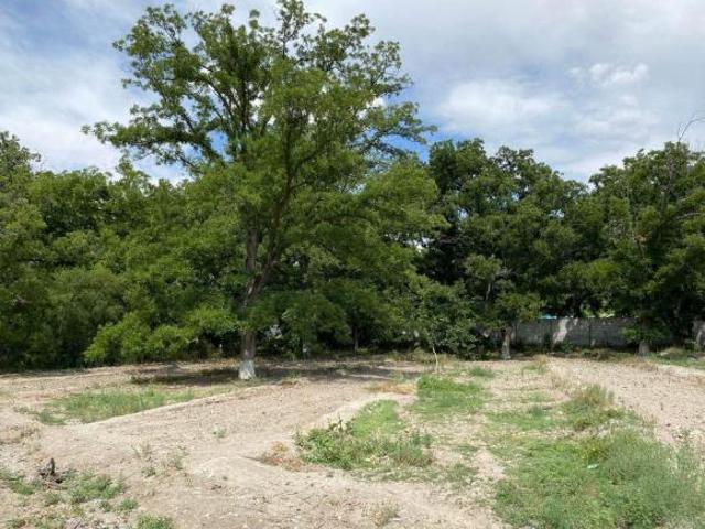 SE VENDE TERRENO CON NOGALES EN PARRAS DE LA FUENTE, COAHUILA