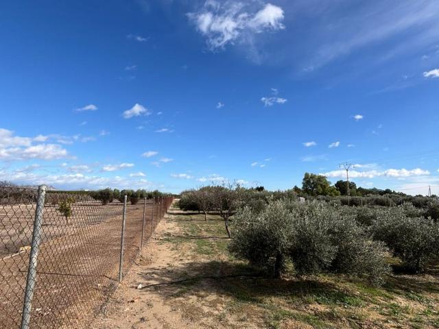 Terreno en venta en Oriental, Murcia