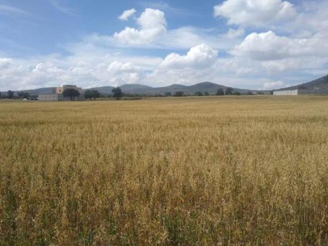 Terreno en venta en Pachuca De Soto, Hidalgo