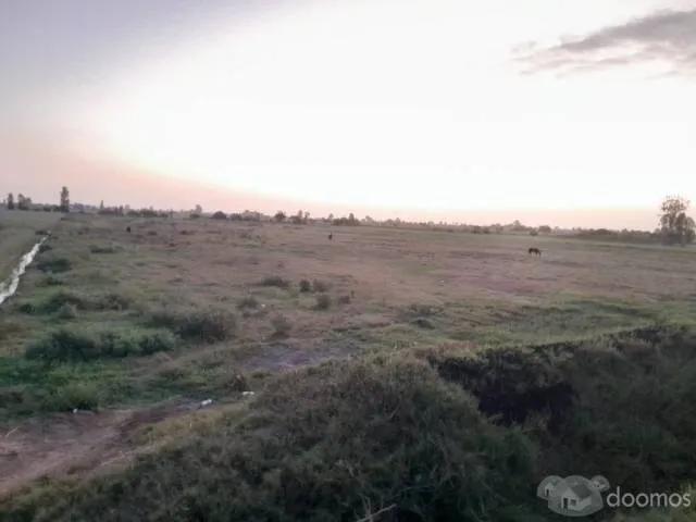 Terreno venta en Pisco, Ica