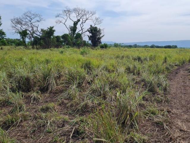 Terreno en venta en Distrito Federal, Chiapa de Corzo