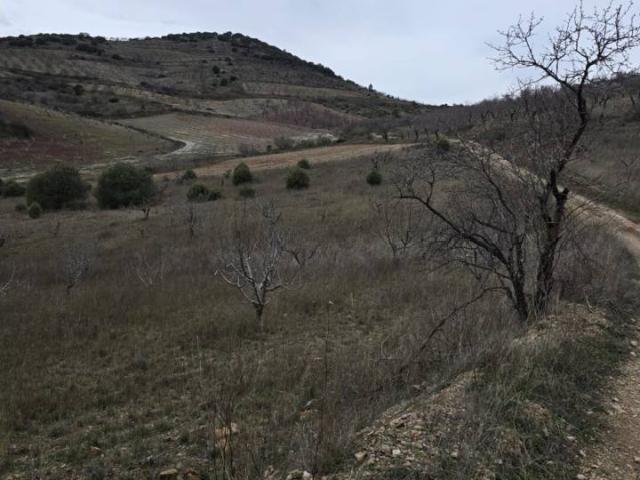 Terreno en venta en Comunidad de Calatayud, Aragón
