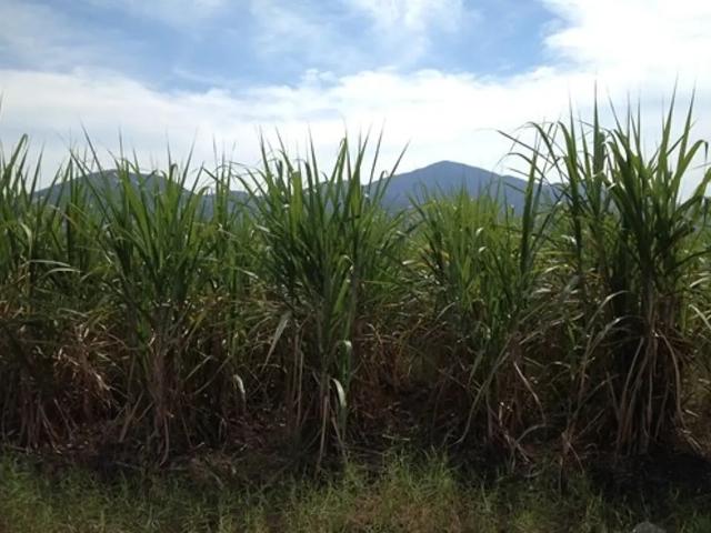 Terreno en venta en Autlán De Navarro, Jalisco