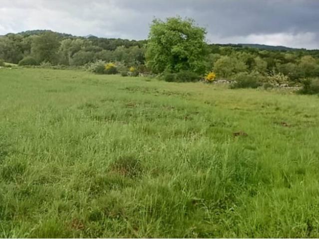 Terreno en venta en Allariz