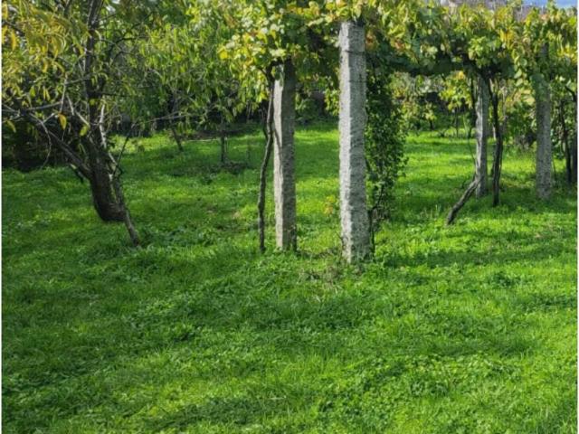 Terreno en venta en A Lonia de Abaixo, Ourense
