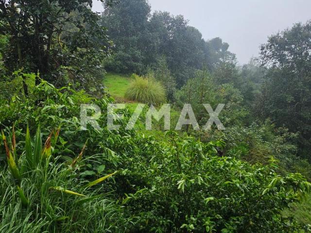 Terreno en venta en Los Reyes, Acaxochitlán