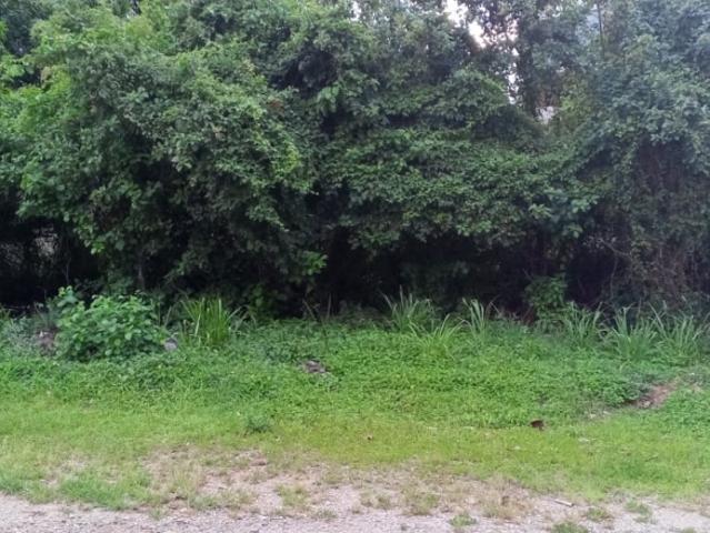 Terreno en venta en Carúpano, Sucre