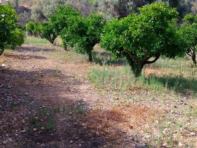 Terreno en venta en Bolulla, Alacant / Alicante