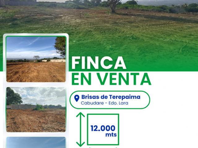 Terreno en venta en Palavecino, Lara
