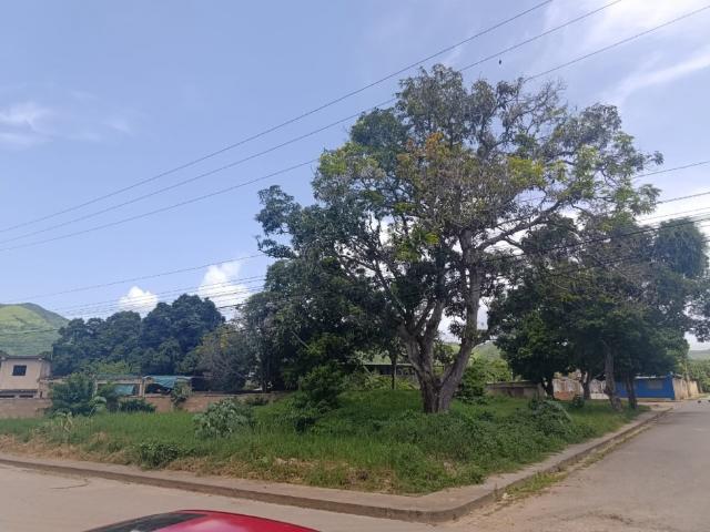 Terreno en venta en Carúpano, Sucre