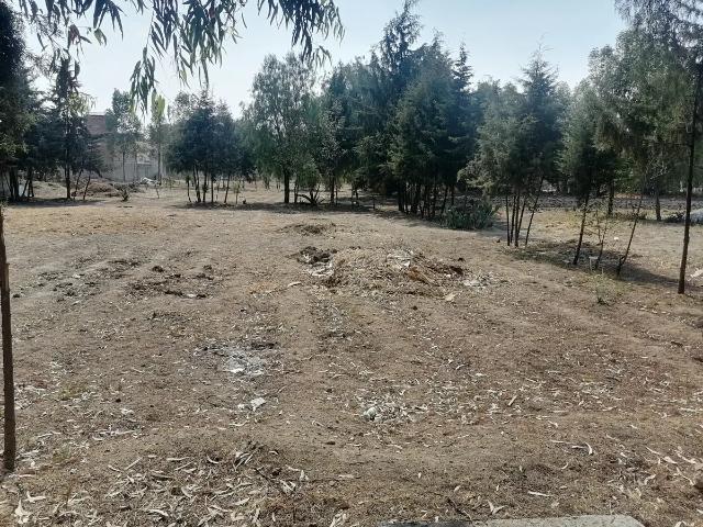 Terreno en venta en Nonoalco, Chiautla