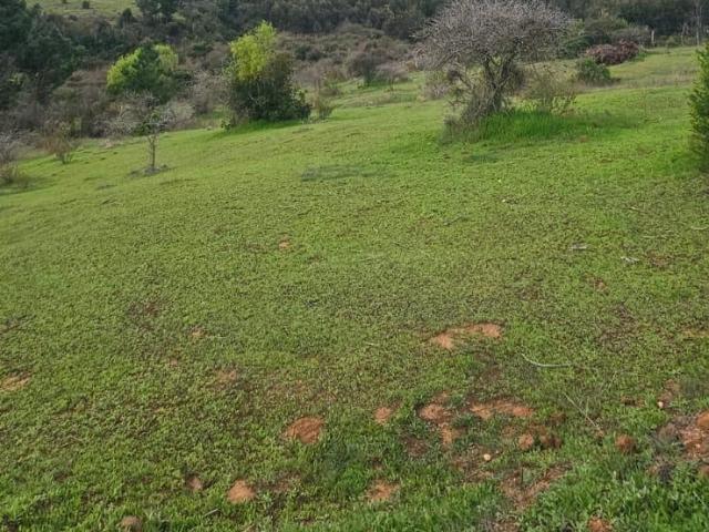 Terreno en venta en Diguillín, San Ignacio