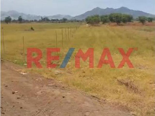 Terreno venta en Comte Noel, Ancash