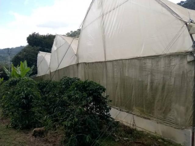 Terreno en venta en Boconó, Trujillo