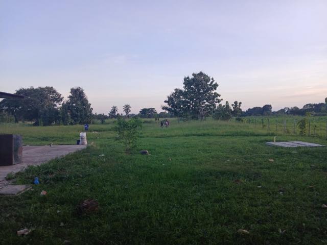 Terreno en venta en Gua, Portuguesa