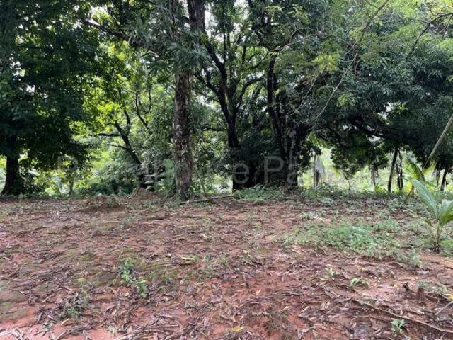 Se Vende Terreno en La Mesa ZC