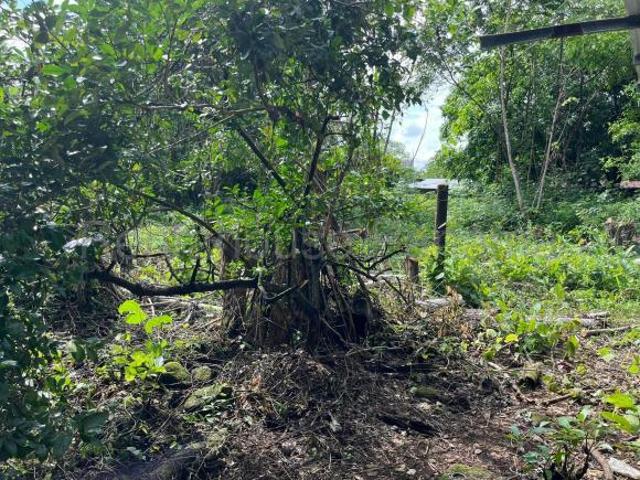 Se Vende Terreno en La Mesa ZC