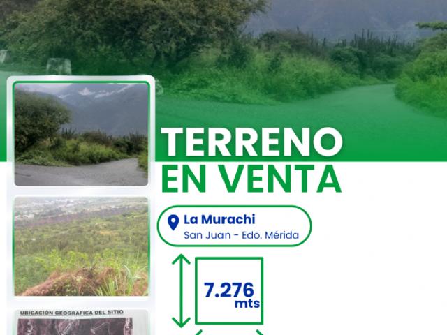Terreno en venta en Suarez, Mérida