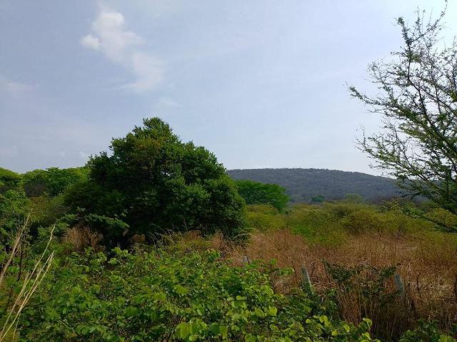 Terreno en venta en La Trinitaria, Chiapas