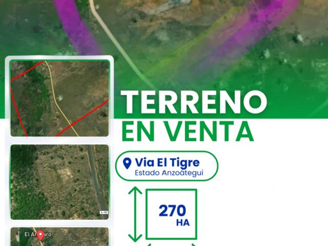 Terreno en venta en El Tigre, Amazonas
