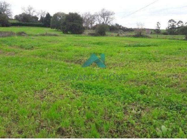 Local Comercial en venta en San Mamés de Meruelo, Meruelo