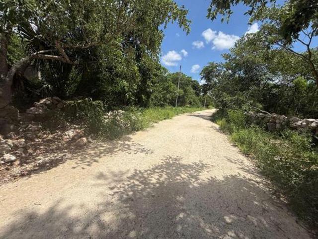 Terreno en venta en Motul de Carrillo Puerto, Motul