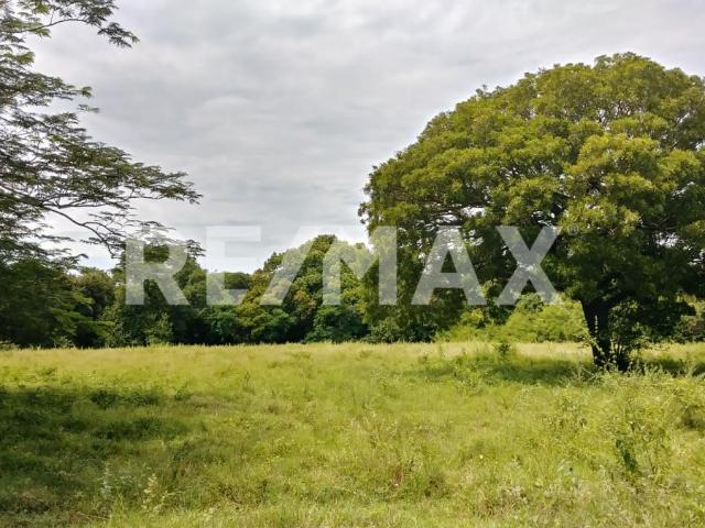 Terreno en venta en Santiago Niltepec, Oaxaca