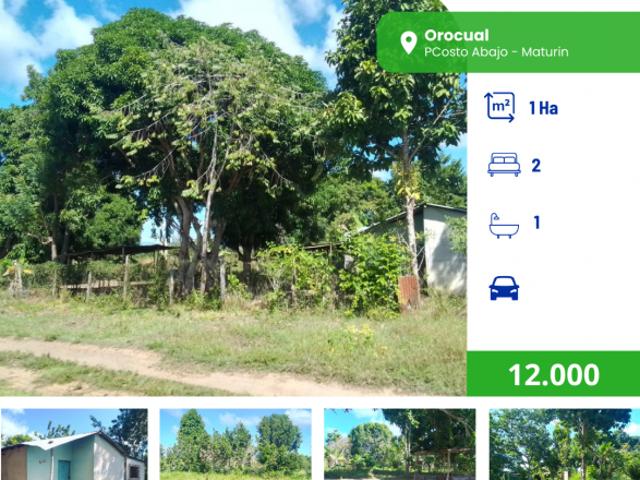 Terreno en venta en Tacarigua De Brion., Miranda