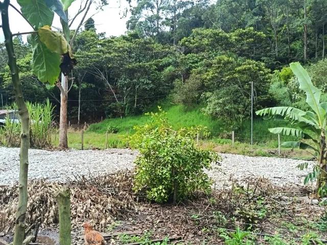 Terreno venta en Oxapampa, Pasco