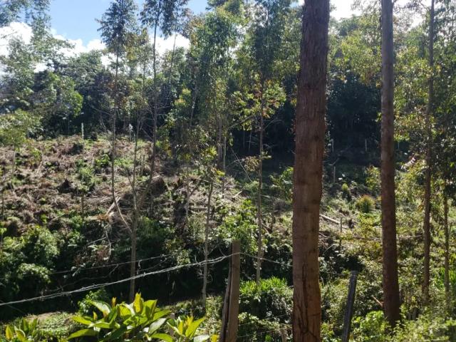 Terreno venta en Oxapampa, Pasco