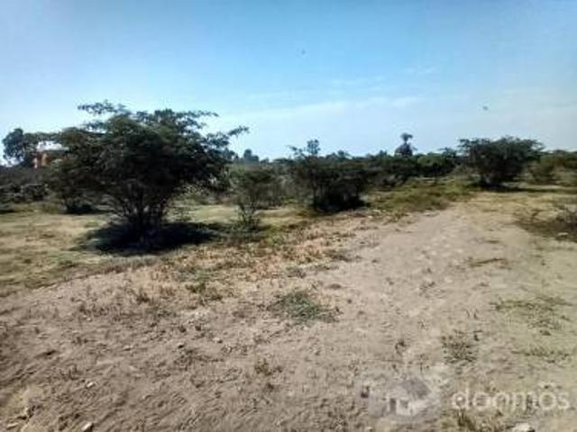 Se Vende Terreno En Pachinga Pisco Se Vende Terreno En Pachinga Pisco