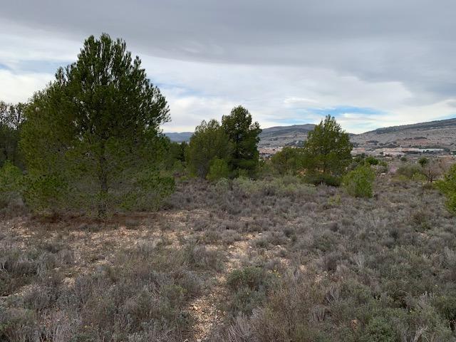 Terreno en venta en Ibi