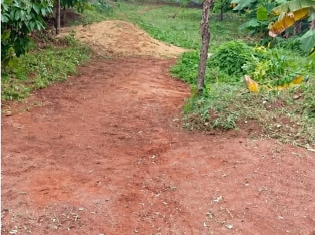 Terreno en venta en Carúpano, Municipio Bermúdez