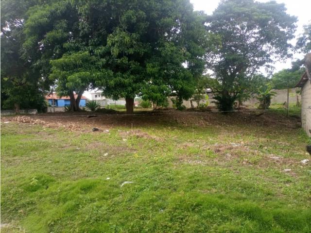 Terreno en venta en Delta Amacuro