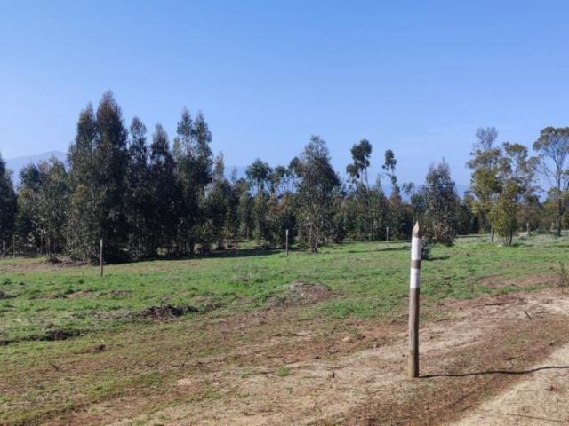 Terreno en venta en Valparaíso, Capital, Valparaíso