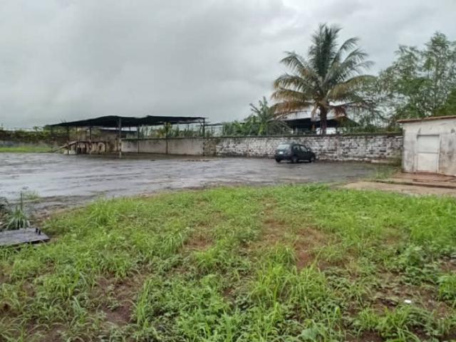 Terreno en venta en Punta De Mata, Monagas