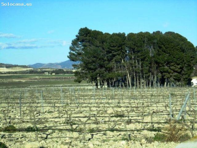 Local Comercial en venta en Cecilia Bartolomé (Mujeres Libres), Salinas