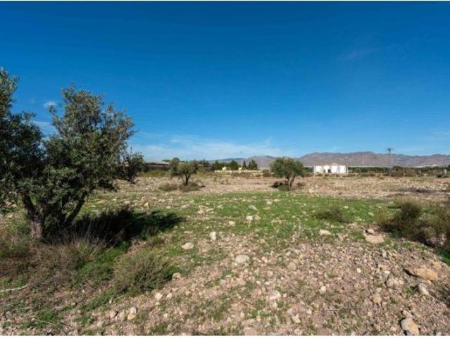 Local Comercial en venta en San Isidro de Níjar, Níjar