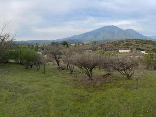 Parcela San Pedro de Melipilla