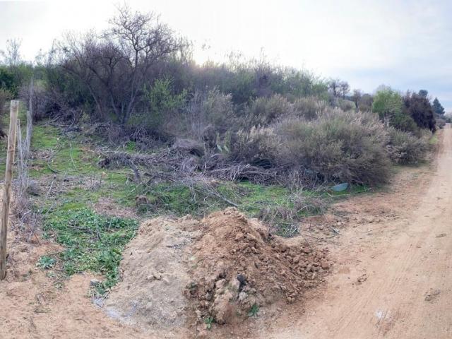 Parcela San Pedro de Melipilla