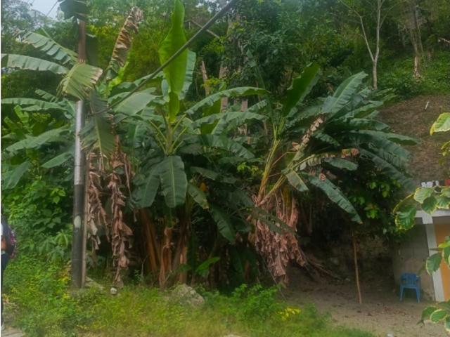 Terreno en venta en Valera, Trujillo